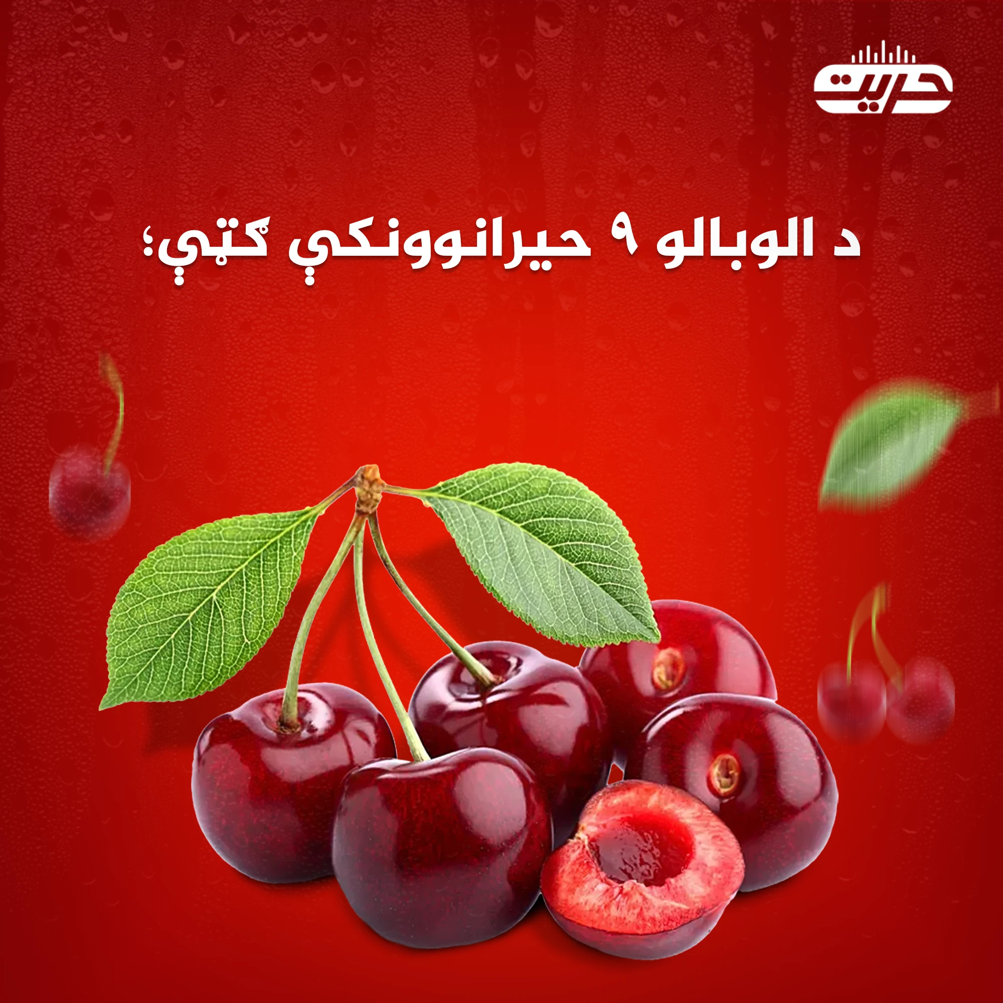 د الوبالو ۹ حيرانوونکې ګټې؛ د سرطان ګواښ هم کموي