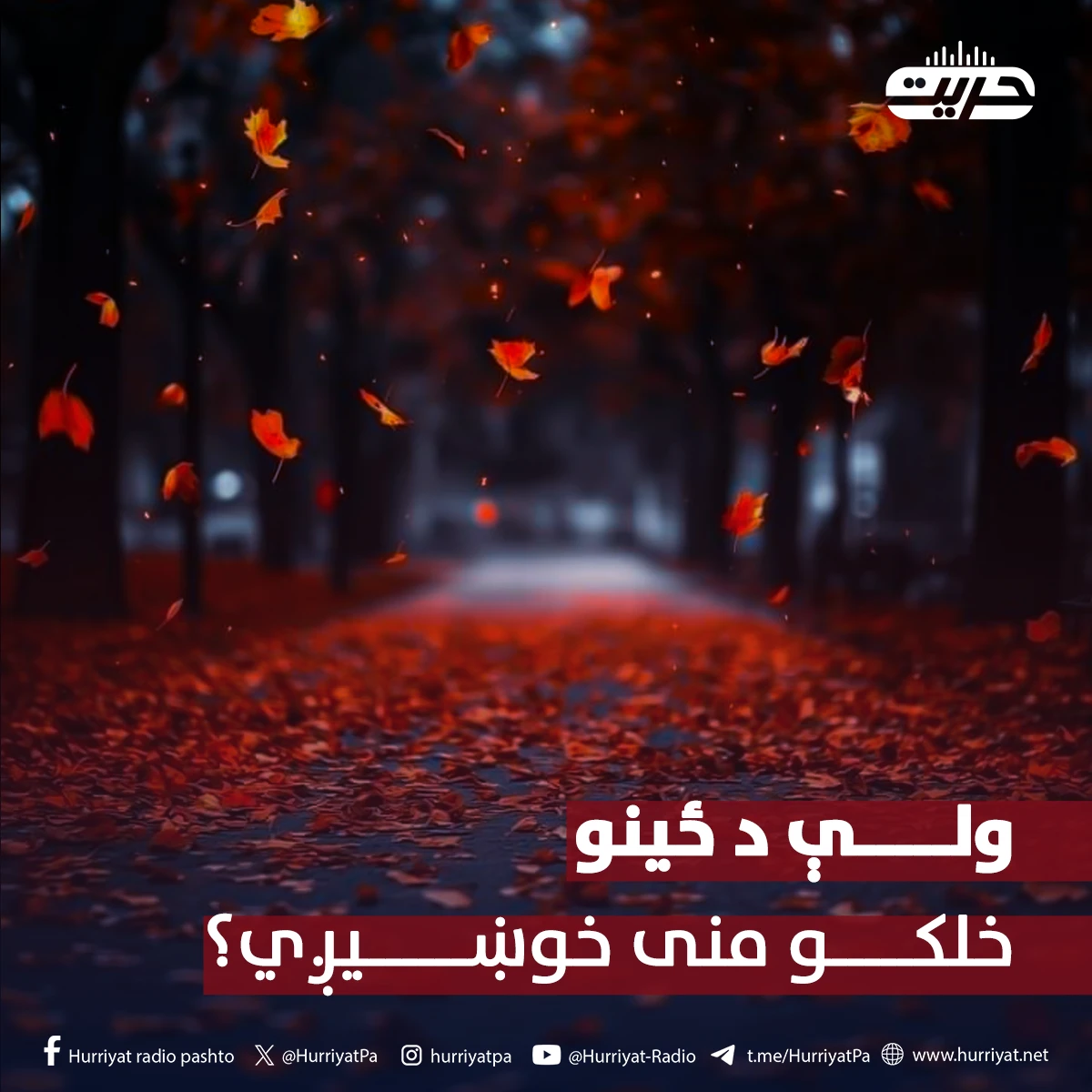 ولې د ځینو خلکو منی خوښیږي؟