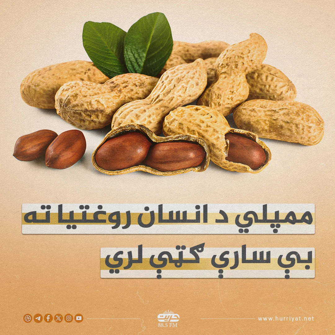 ممپلي د انسان روغتيا ته بې سارې ګټې لري