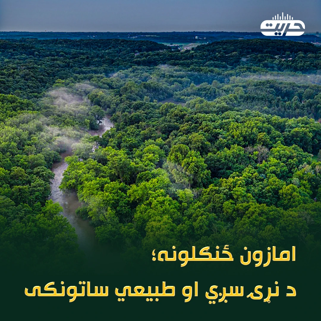 امازون ځنګلونه؛ د نړۍ سږي او طبيعي ساتونکی