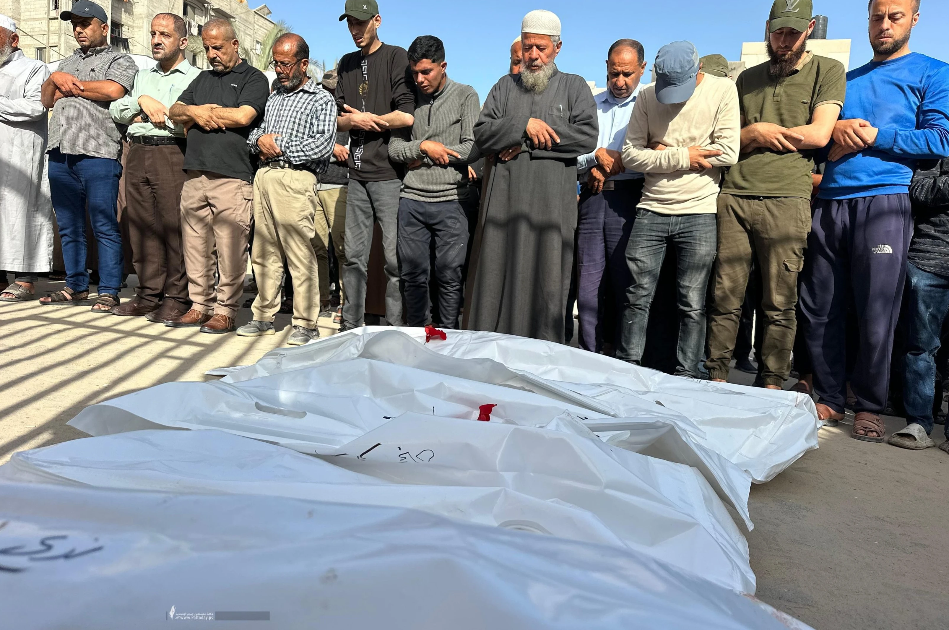 تېرو ۳۶ ساعتونو کې ۲۵۰ فلسطینیان شهیدان شوي