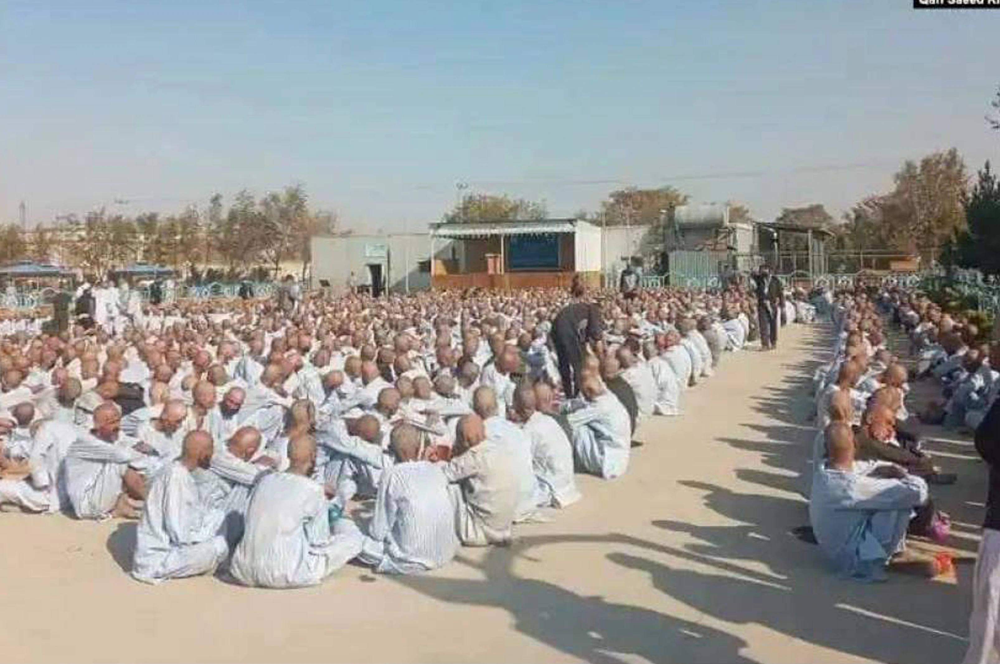 نیمروز کې یې نږدې ۷ زره روږدي راټول کړي